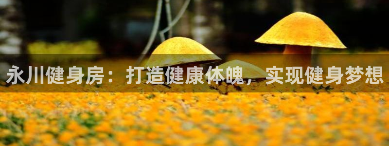 尊龙凯时官方网站