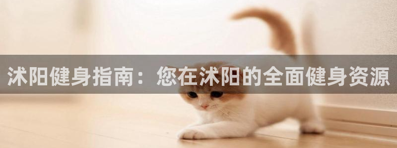 尊龙凯时人生就是博官网登录